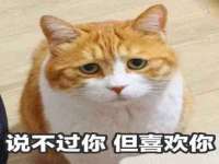 东明县奇乐复印部