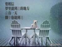 东明县奇乐复印部