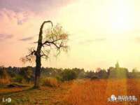 东明县奇乐复印部