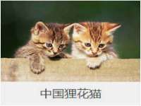 东明县奇乐复印部