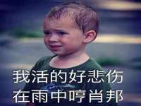 东明县奇乐复印部