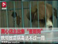 东明县奇乐复印部