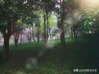 东明县奇乐复印部