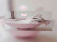 东明县奇乐复印部