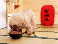 东明县奇乐复印部