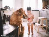 东明县奇乐复印部