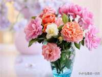 东明县奇乐复印部
