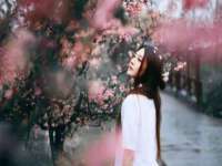 东明县奇乐复印部